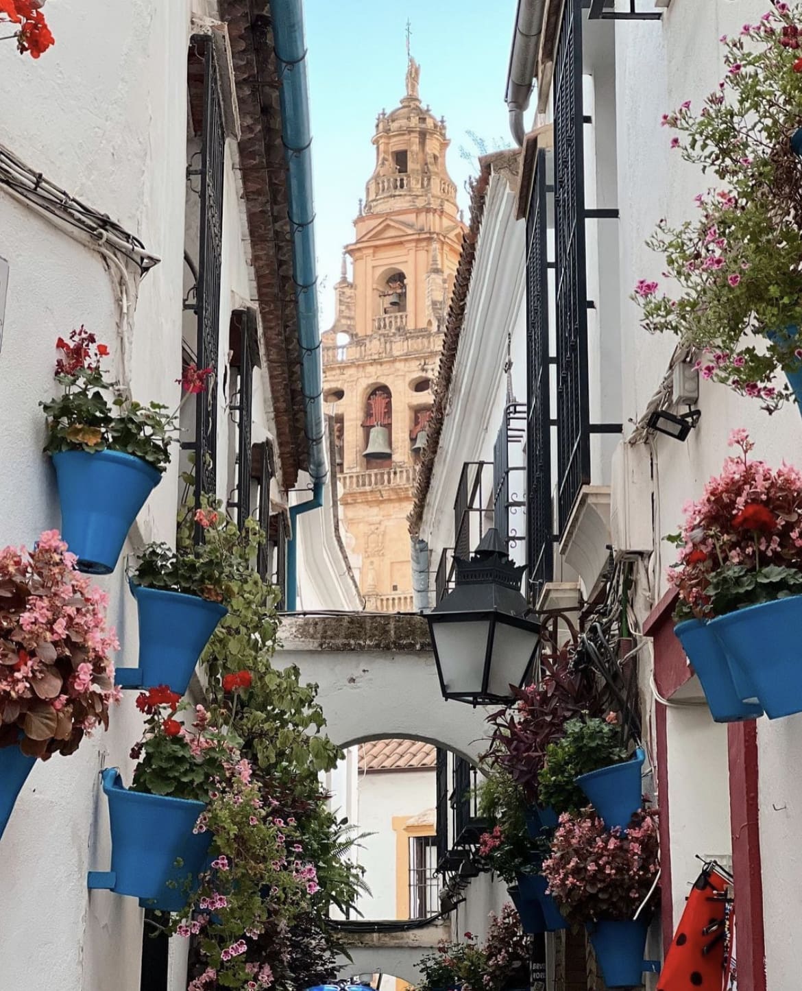 Flowered Alleyway, Cordoba